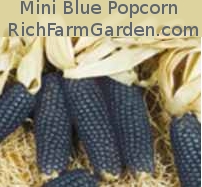 Mini Blue Popcorn