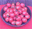 Debaro Red Russian
        Plum tomato