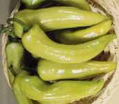 Yellow
        banana pepper