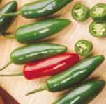 Serrano
        Chile pepper