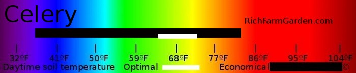 Graph of soil
      temperature for planting celery seeds